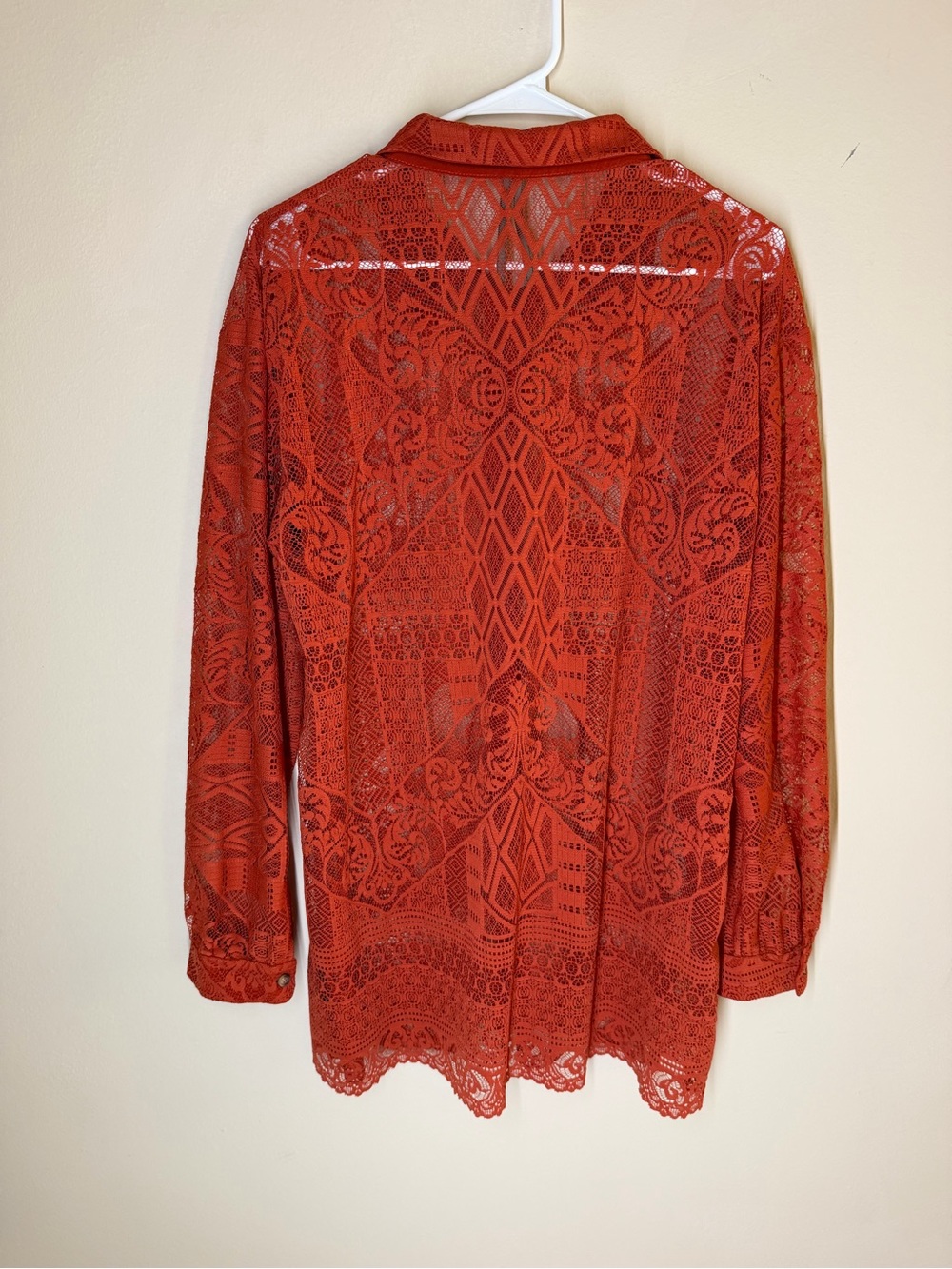 Anthropology Lace Button-Up Blouse in Rustic Orange - Picture 2 of 3